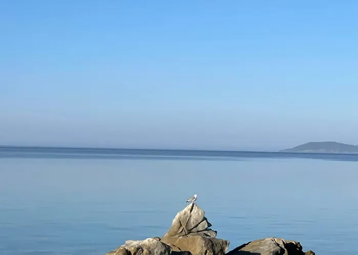 Little Bay House